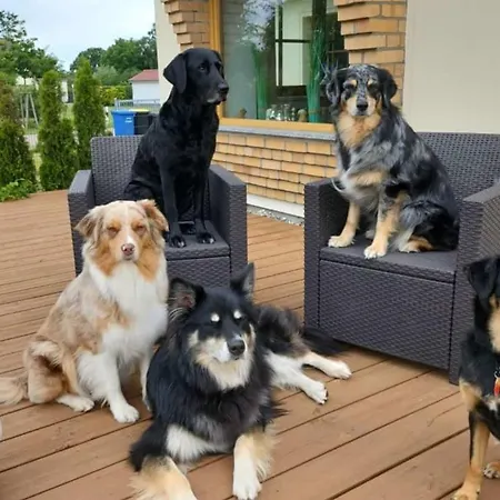 Huusamdarss Дом отдыха *