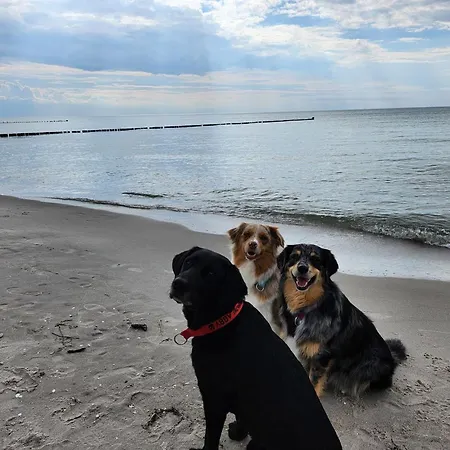 Huusamdarss Дом отдыха *