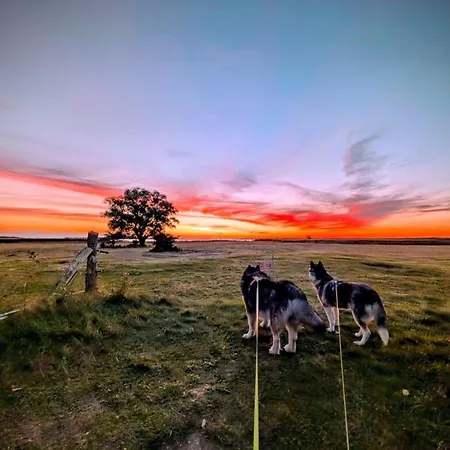 Huusamdarss Fuhlendorf (Mecklenburg-Vorpommern)