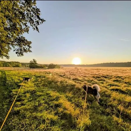 Дом отдыха Huusamdarss